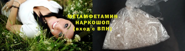прущие грибы Кукмор