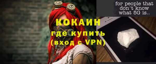 прущие грибы Кукмор