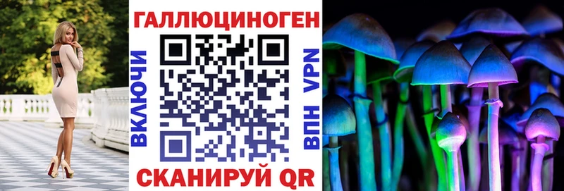 закладки  Никольское  Псилоцибиновые грибы мухоморы 
